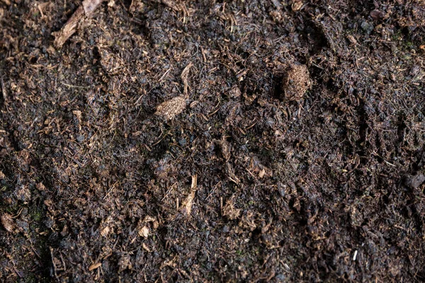 A piece of fertile brown soil land prepared for planting crops — Stock Photo, Image