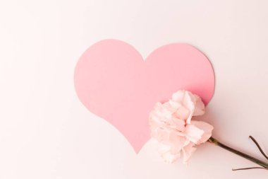 Beyaz arka planda küçük pembe bir karanfil çiçeğiyle süslenmiş büyük pembe bir kalp.