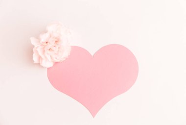 Beyaz arka planda küçük pembe bir karanfil çiçeğiyle süslenmiş büyük pembe bir kalp.