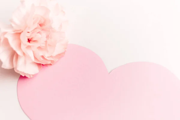 Um grande coração rosa com um lugar para texto decorado com uma pequena flor de cravo rosa em um fundo branco — Fotografia de Stock