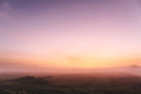 Ранним утром в поле с розовым рассветом и окутанным туманом, завораживающим мистицизмом природы — стоковое фото