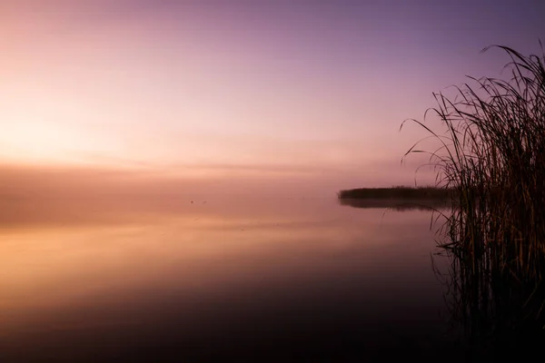 Ранній ранок на озері з рожевим світанком і затіненим туманом, зачаровуючим містицизмом природи — стокове фото
