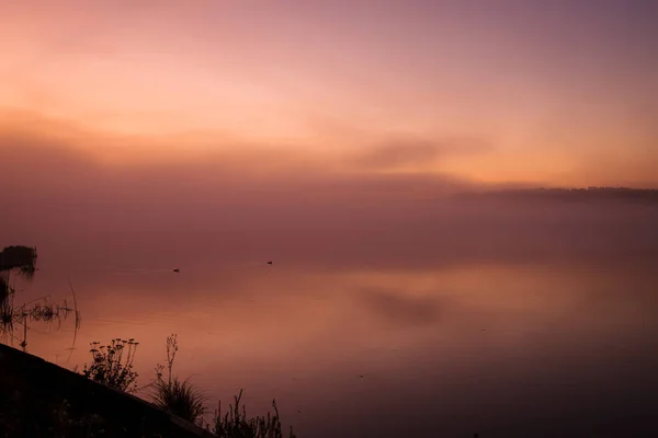 Tidlig morgen på sjøen med en rosa daggry og innhyllet tåke, en trollbindende naturmystisisme – stockfoto