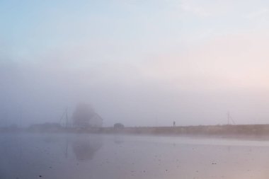 The bird flies in the sky over the lake during the morning fog, and on the shore are a house and a car