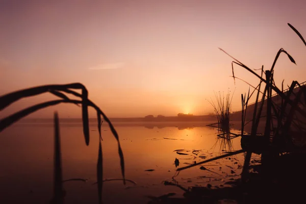 Le brouillard matinal sur la rivière disparaît avec le lever du soleil. Le souffle de la nature. Un lieu de force et d'inspiration . — Photo