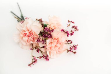 Beyaz arka planda mütevazı bir buket çiçek, aşkın sembolü, pembe ya da Beije karanfilleri ve küçük dekorasyon dalları