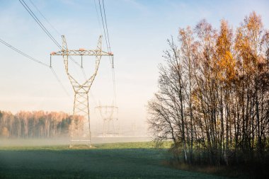 Sisli sonbahar ormanlarında sabah sabah elektriği olan elektrik iletim hatları. Güç hatları.