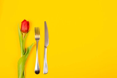 Sarı arka planda bir çatal, bir bıçak ve kırmızı bir lale var. Mesaj, menü, yemek tarifi, promosyon ya da diğer reklamlar için yeri olan pankart. Afiyet olsun..