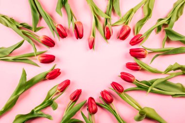 Pembe arkaplandaki laleler bir kalp şeklinde, mesaj atılacak bir yer ya da başka bir nesne eklenecek şekilde dizilmiş. Harmonik ve kardiyolojinin tıbbi teması.