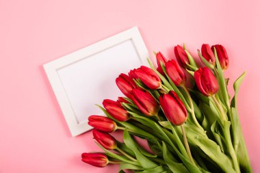 Beyaz fotoğraf çerçevesi pembe arka planda bir buket kırmızı lale olan bir şablon. Kutlama metni ya da sertifikası için güzel bir dikey boşluk. Unutulmaz bir fotoğraf için..