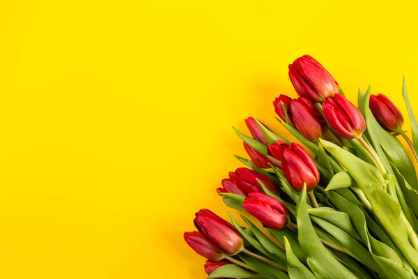 Bouquet Tulipani Rossi Sfondo Giallo Bianco Pubblicità Cartoline Altri Prodotti — Foto Stock