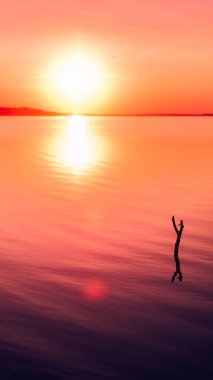 Gölün üzerinde güzel turuncu gün batımı. Huzur ve sessizlik. Özgürlük ve bağımsızlık hissi. Dünyanın ihtişamı ve ahengi. Harika bir güç ve enerji yeri..