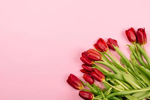 Vista Dall Alto Sfondo Rosa Con Bouquet Tulipani Rossi Distesi — Foto Stock