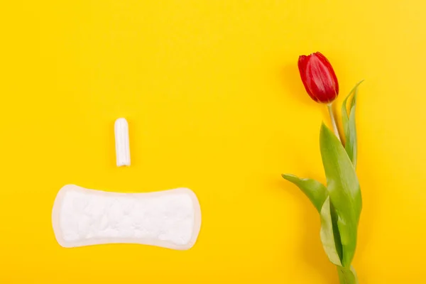 Dagelijks Damesmaandverband Tampon Voor Speciale Dagen Met Een Rode Tulpenbloem — Stockfoto