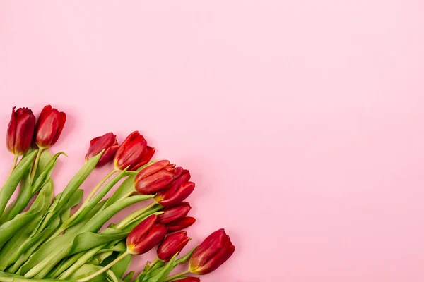 Vista Dall Alto Sfondo Rosa Con Bouquet Tulipani Rossi Distesi — Foto Stock