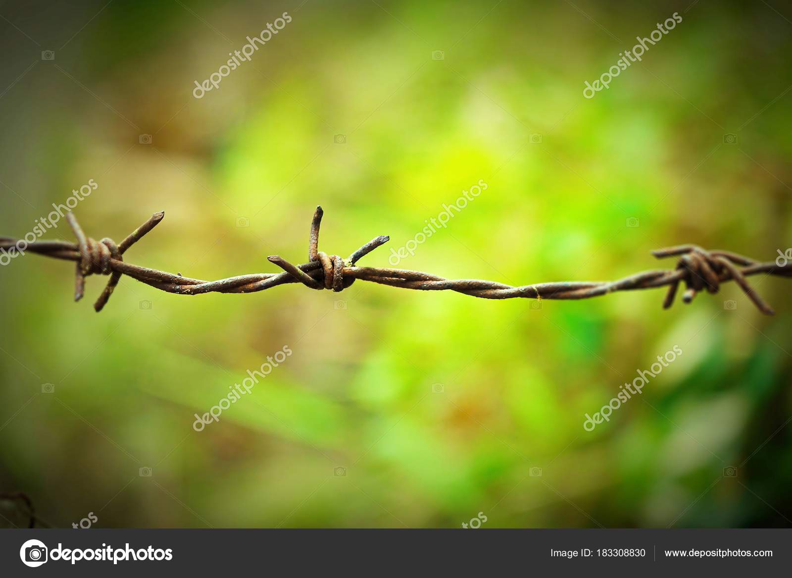 rusty barbed wire