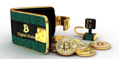 Bitcoins dijital cüzdan sikke ve özel anahtar üzerinde izole beyaz arka plan, 3d illüstrasyon kavramı ile kilidi.