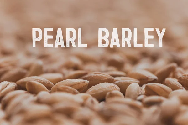 A close up of pearl barley grains. Raw porridge top view. Grain pattern. Vegan Raw Food.