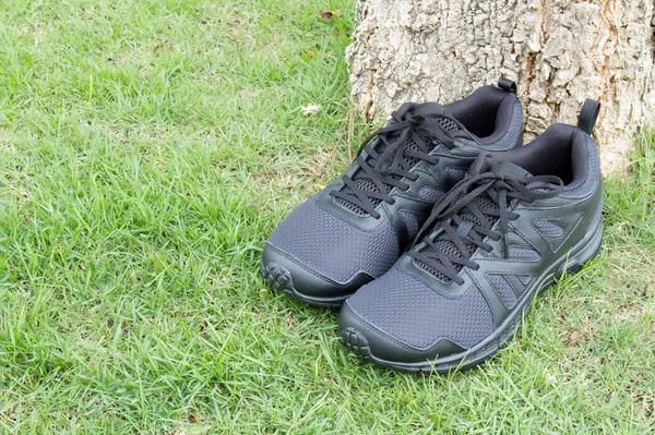 Zapato de correr de calzado — Foto de Stock