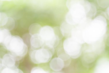 Beyaz ve yeşil doğa bokeh