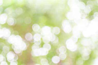 Beyaz ve yeşil doğa bokeh