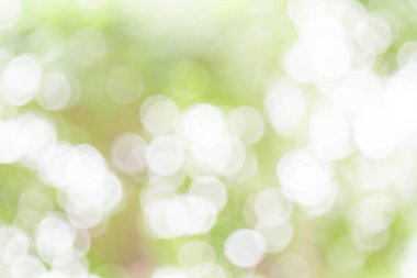 Beyaz ve yeşil doğa bokeh