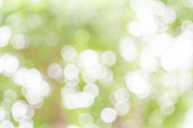 Beyaz ve yeşil doğa bokeh