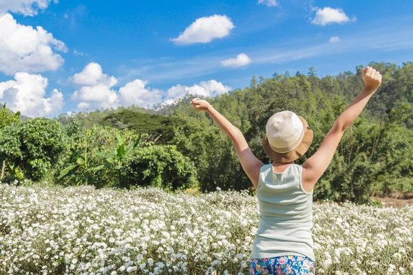 Ragazza nel campo del crisantemo — Foto Stock