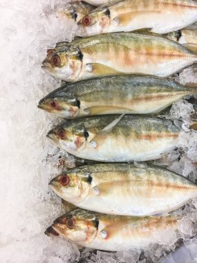 Sarı-çizgili trevally balık