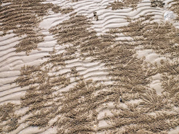 Sand Textur Hintergrund — Stockfoto