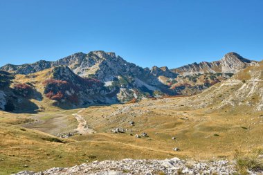 Kurumuş otlarla kaplı dağ vadisi