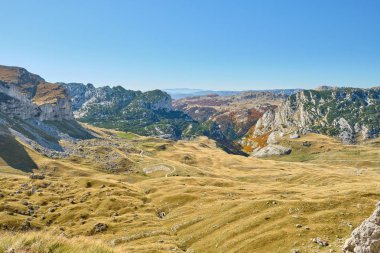 Mavi gökyüzüne karşı sonbahar çayırlarıyla kaplı Rocky dağları