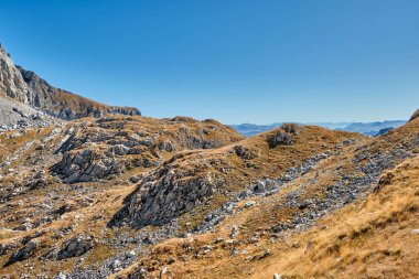 Mavi gökyüzüne karşı sonbahar çayırlarıyla kaplı Rocky dağları