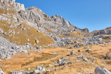 Mavi gökyüzüne karşı sonbahar çayırlarıyla kaplı Rocky dağları