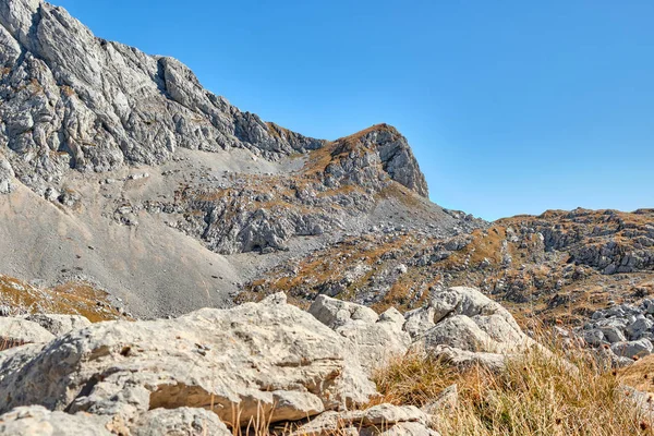 Mavi gökyüzüne karşı sonbahar çayırlarıyla kaplı Rocky dağları