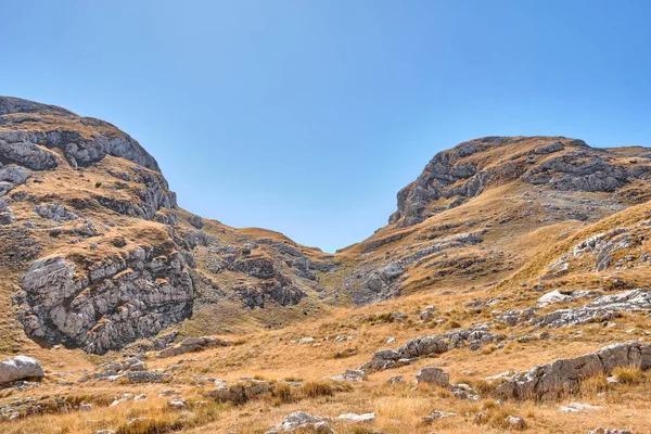 Mavi gökyüzüne karşı sonbahar çayırlarıyla kaplı Rocky dağları