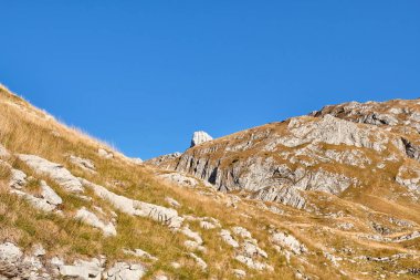 Mavi gökyüzüne karşı sonbahar çayırlarıyla kaplı Rocky dağları