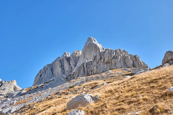 Mavi gökyüzüne karşı sonbahar çayırlarıyla kaplı Rocky dağları