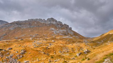 Fırtınalı bir gökyüzünün arka planında sonbahar çayırlarıyla kaplı Rocky dağları
