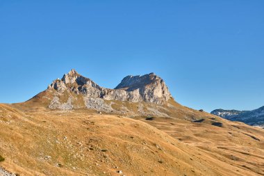 Mavi gökyüzüne karşı sonbahar çayırlarıyla kaplı Rocky dağları