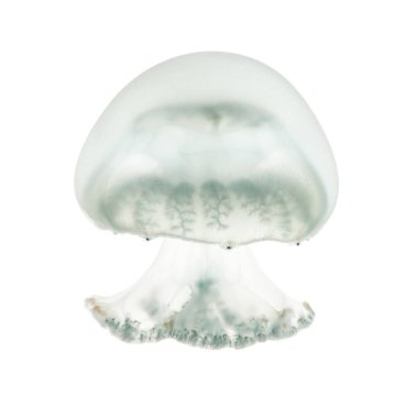 Top mermisi denizanası veya cabbagehead denizanası, Stomolophus melea