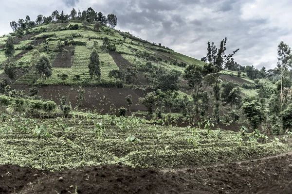 Mountainside in Nord Kivu, DRC — Stock Photo, Image