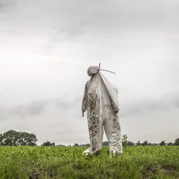 Scarecrow Green Field Cloudy Day — Stock Photo, Image