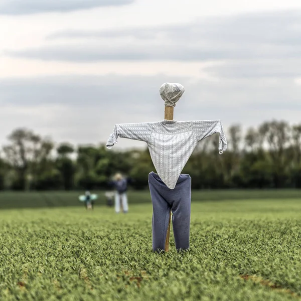 Scarecrow Green Field Cloudy Day — Stock Photo, Image