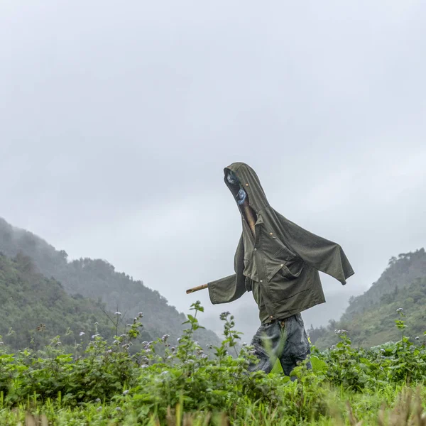 Scarecrow Green Field Cloudy Day — Stock Photo, Image