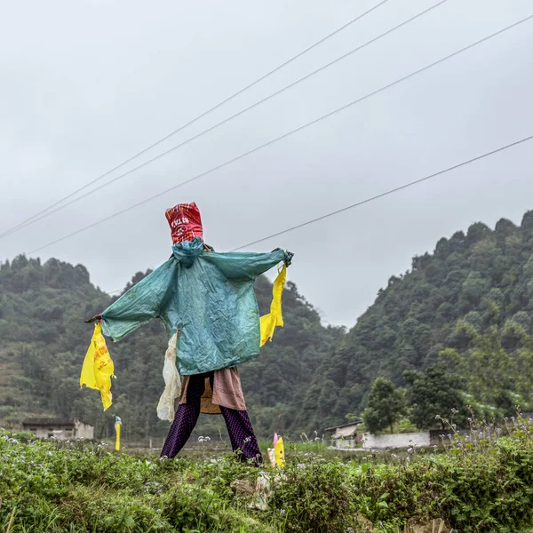 Scarecrow Green Field Cloudy Day — Stock Photo, Image