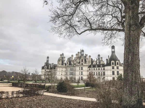 Chambord França Dezembro 2020 Exibição Susumu Shingu Chteau Chambord Castelo — Fotografia de Stock