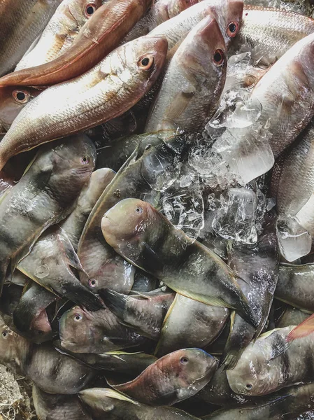 Top View Assortment Loose Fish Sale Fish Market Hue Market — Stock Photo, Image