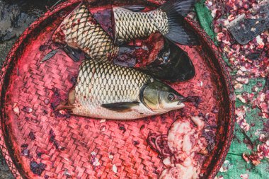 Balıkçıların masasındaki balık kafasının en üst görüntüsü.