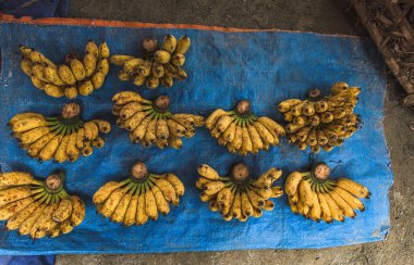 Bac Ha Market, Vietnam 'da satılacak bir muz manzarası.